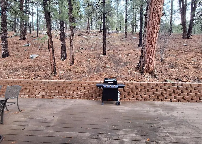 Among The Pines W Tesla Charger And Game Garage *