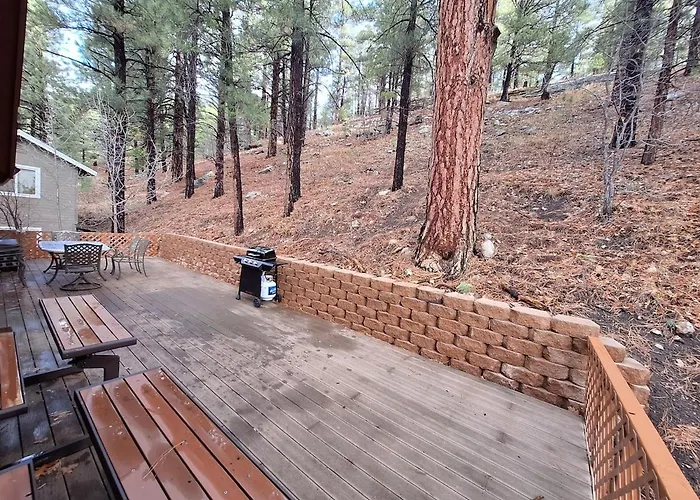 Among The Pines W Tesla Charger And Game Garage *